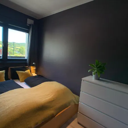 Hemsedal Moderne Og Koselig 公寓 Fausko