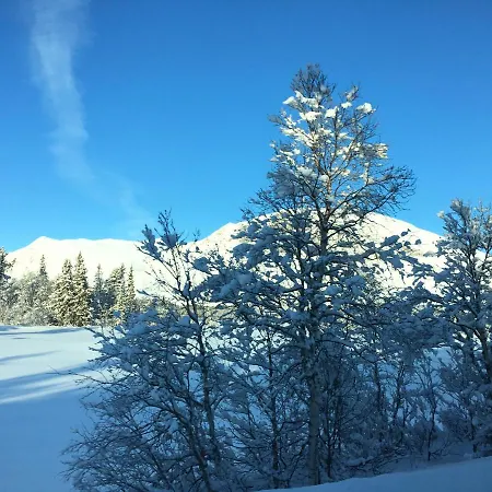 Hemsedal Moderne Og Koselig Fausko