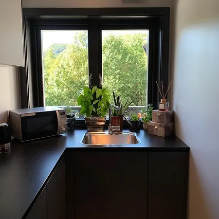 Hemsedal Moderne Og Koselig