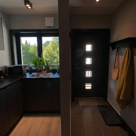 Hemsedal Moderne Og Koselig