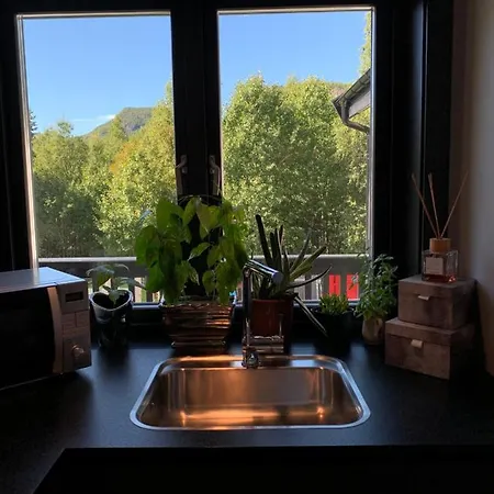 Hemsedal Moderne Og Koselig Fausko